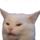 confused cat Slack emoji