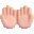 palms up together Slack emoji