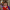 angrykid Slack emoji