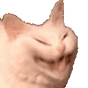 catcrackleabc Slack emoji