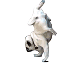 pugpee Slack emoji