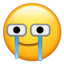 cry wc Slack emoji