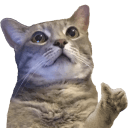 charlie approves Slack emoji