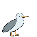 gull scream meme Slack emoji