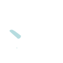vinacheck3 Slack emoji