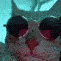 cat vibe Slack emoji