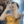 blue dragonball shenron dance Slack emoji