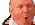 ballmer parrot Slack emoji