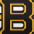 bruins zoom Slack emoji