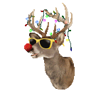 superchill christmas Slack emoji