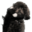 phone puppy Slack emoji
