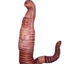 heidiklum worm Slack emoji
