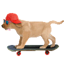 jake from skate farm Slack emoji