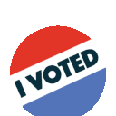 i voted Slack emoji