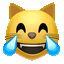 cat joy crazy Slack emoji