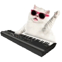 cat keyboards Slack emoji