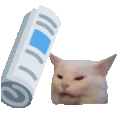 catbonk Slack emoji