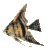 fish Slack emoji