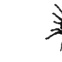 crawling tarantula Slack emoji