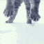 kitty snow jump Slack emoji
