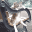 justchillin Slack emoji