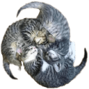 cat3 Slack emoji