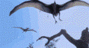 flying dino Slack emoji