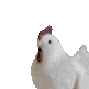 chicken squint Slack emoji