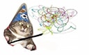 magic cat Slack emoji