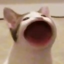pop cat 2 768x745 Slack emoji