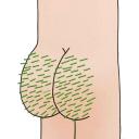 grassyass Slack emoji
