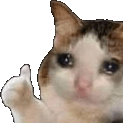 thumbs up crying cat Slack emoji