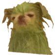 gunch Slack emoji