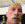 dwayne rock Slack emoji