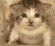 exploded cat Slack emoji