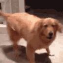 excited dog Slack emoji