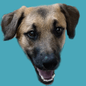 larry says what Slack emoji