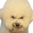 douggy Slack emoji