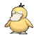 angrypsyduck Slack emoji