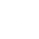 southcarolinalogo Slack emoji