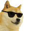 dripdogefunny Slack emoji