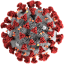 coronavirus Slack emoji