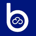 britive Slack emoji