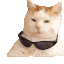 jus deal with it Slack emoji
