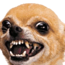 impatient wait doggo Slack emoji
