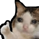 cry cat thumbs up Slack emoji