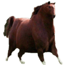 honse Slack emoji