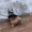 corgi butt Slack emoji