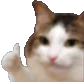 jabgood Slack emoji