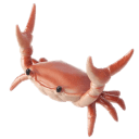 pencrab Slack emoji